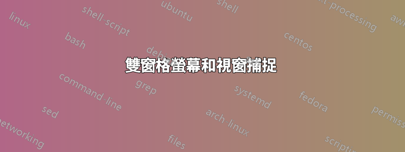 雙窗格螢幕和視窗捕捉