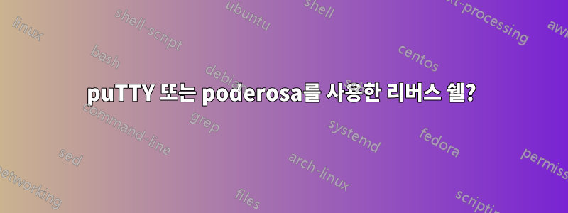 puTTY 또는 poderosa를 사용한 리버스 쉘?