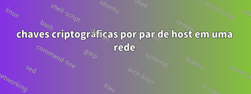 chaves criptográficas por par de host em uma rede
