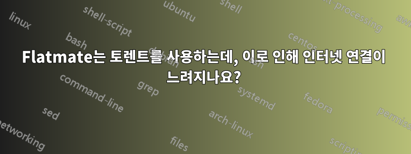 Flatmate는 토렌트를 사용하는데, 이로 인해 인터넷 연결이 느려지나요?