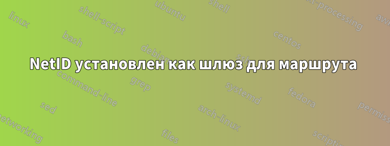 NetID установлен как шлюз для маршрута
