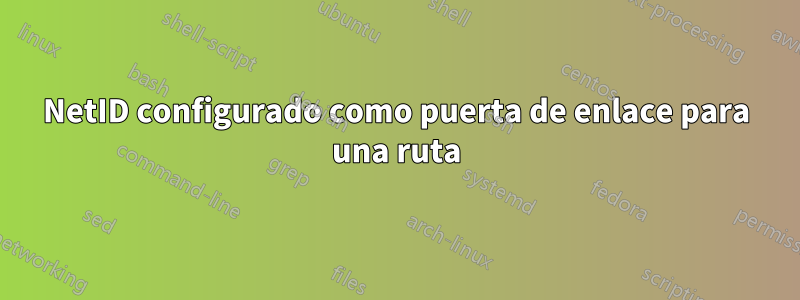 NetID configurado como puerta de enlace para una ruta
