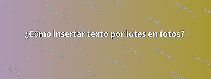 ¿Cómo insertar texto por lotes en fotos?