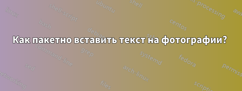 Как пакетно вставить текст на фотографии?