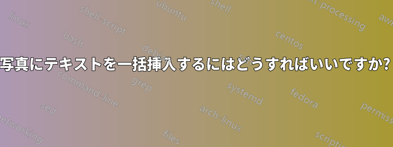 写真にテキストを一括挿入するにはどうすればいいですか?
