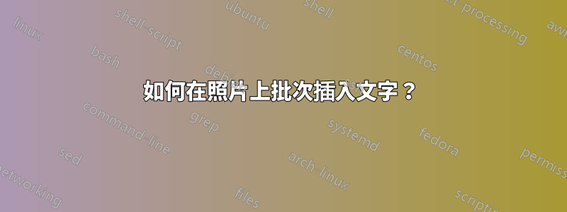 如何在照片上批次插入文字？
