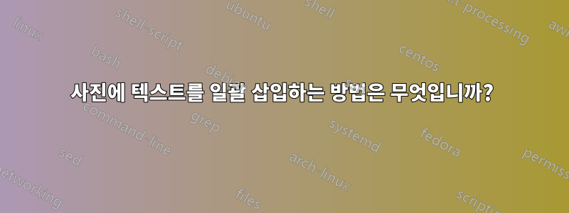 사진에 텍스트를 일괄 삽입하는 방법은 무엇입니까?