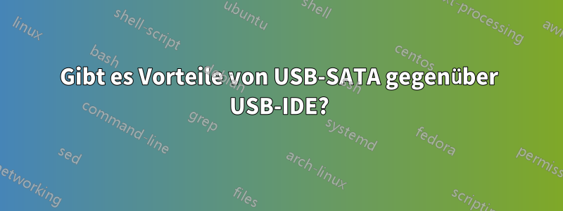 Gibt es Vorteile von USB-SATA gegenüber USB-IDE?