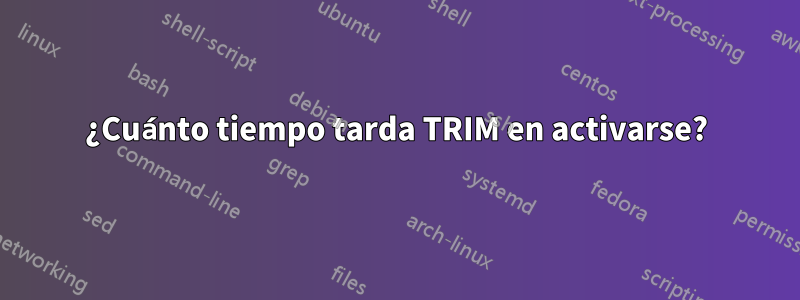 ¿Cuánto tiempo tarda TRIM en activarse?