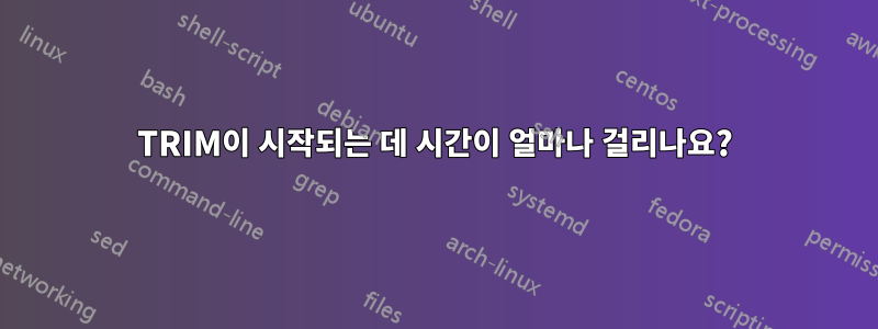 TRIM이 시작되는 데 시간이 얼마나 걸리나요?