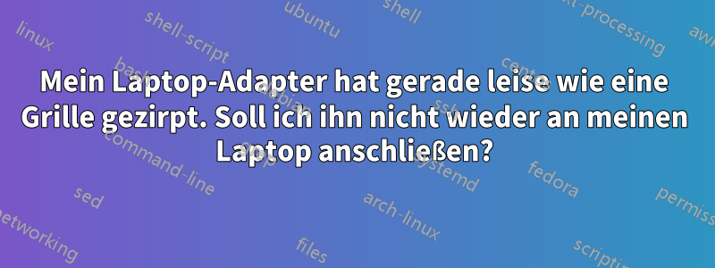 Mein Laptop-Adapter hat gerade leise wie eine Grille gezirpt. Soll ich ihn nicht wieder an meinen Laptop anschließen?