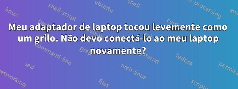 Meu adaptador de laptop tocou levemente como um grilo. Não devo conectá-lo ao meu laptop novamente?
