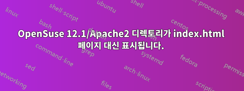 OpenSuse 12.1/Apache2 디렉토리가 index.html 페이지 대신 표시됩니다.