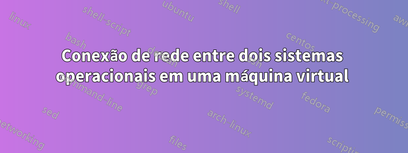 Conexão de rede entre dois sistemas operacionais em uma máquina virtual