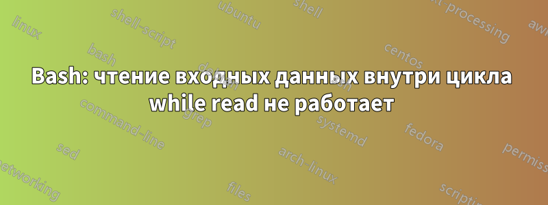 Bash: чтение входных данных внутри цикла while read не работает