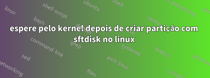 espere pelo kernel depois de criar partição com sftdisk no linux
