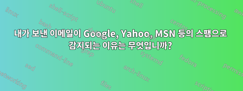 내가 보낸 이메일이 Google, Yahoo, MSN 등의 스팸으로 감지되는 이유는 무엇입니까?