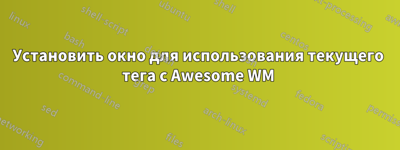 Установить окно для использования текущего тега с Awesome WM