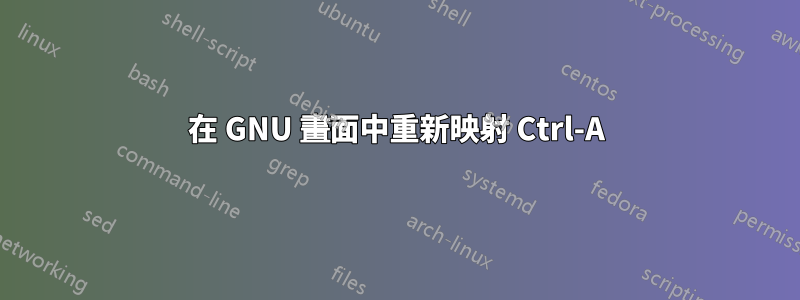 在 GNU 畫面中重新映射 Ctrl-A