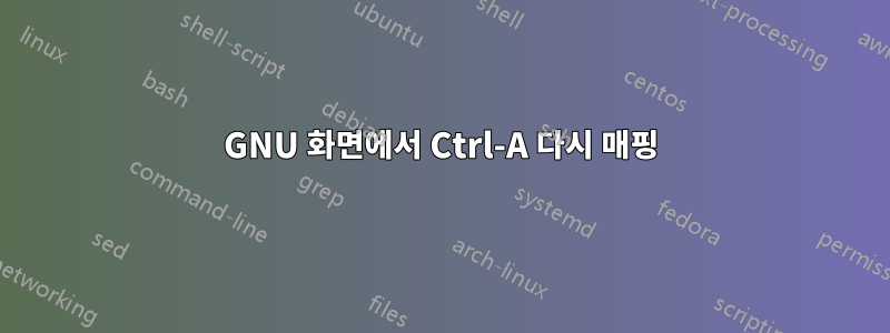 GNU 화면에서 Ctrl-A 다시 매핑