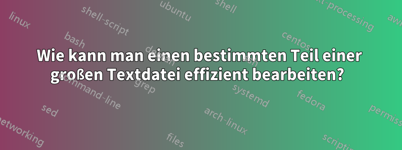 Wie kann man einen bestimmten Teil einer großen Textdatei effizient bearbeiten? 