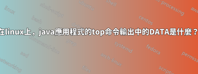 在linux上，java應用程式的top命令輸出中的DATA是什麼？