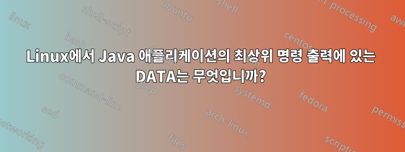 Linux에서 Java 애플리케이션의 최상위 명령 출력에 있는 DATA는 무엇입니까?