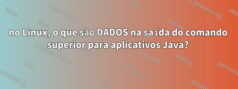 no Linux, o que são DADOS na saída do comando superior para aplicativos Java?