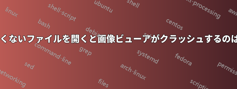 それほど大きくないファイルを開くと画像ビューアがクラッシュするのはなぜですか?