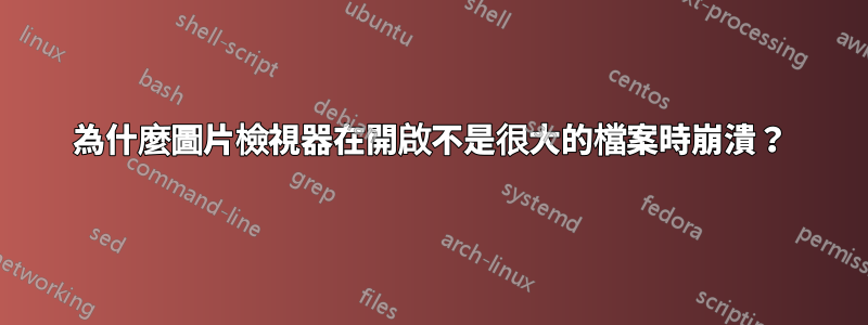 為什麼圖片檢視器在開啟不是很大的檔案時崩潰？