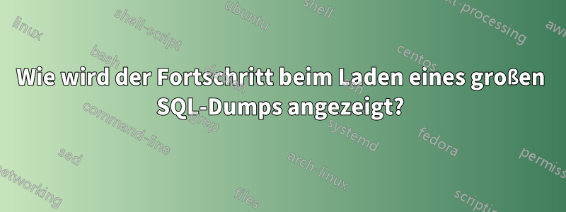 Wie wird der Fortschritt beim Laden eines großen SQL-Dumps angezeigt?