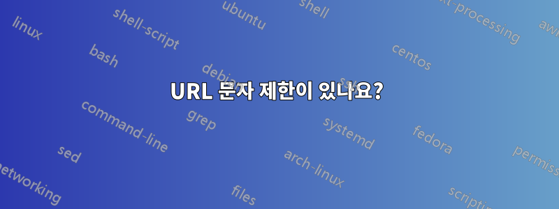 URL 문자 제한이 있나요?