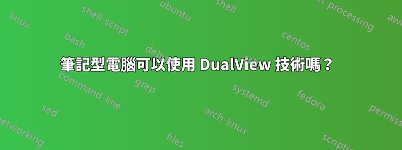 筆記型電腦可以使用 DualView 技術嗎？ 