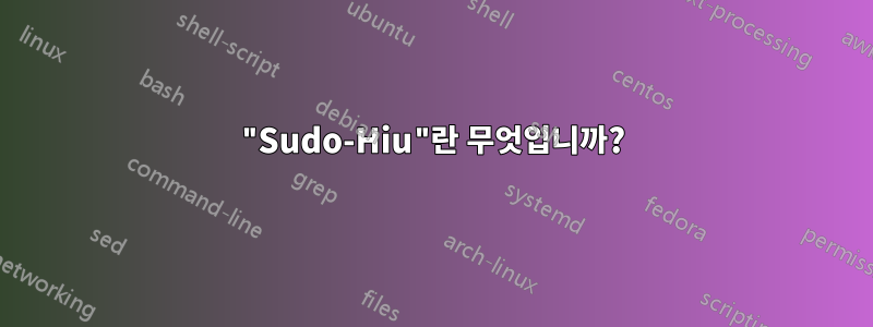 "Sudo-Hiu"란 무엇입니까?