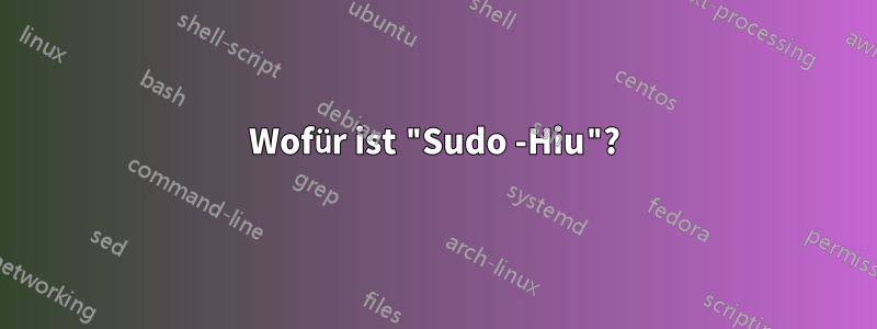 Wofür ist "Sudo -Hiu"?