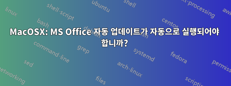 MacOSX: MS Office 자동 업데이트가 자동으로 실행되어야 합니까?