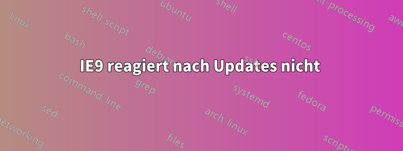 IE9 reagiert nach Updates nicht