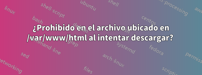 403 ¿Prohibido en el archivo ubicado en /var/www/html al intentar descargar?