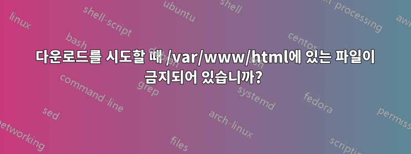 403 다운로드를 시도할 때 /var/www/html에 있는 파일이 금지되어 있습니까?