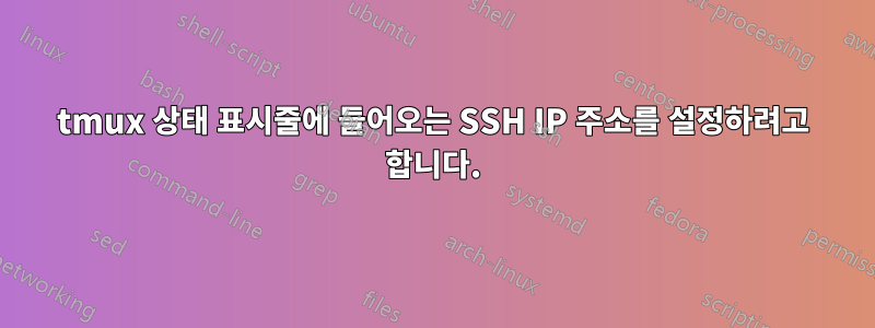 tmux 상태 표시줄에 들어오는 SSH IP 주소를 설정하려고 합니다.