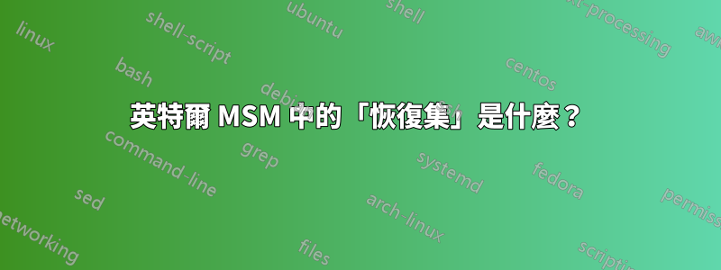 英特爾 MSM 中的「恢復集」是什麼？