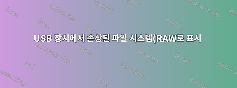 USB 장치에서 손상된 파일 시스템(RAW로 표시)을 수정하는 방법은 무엇입니까?