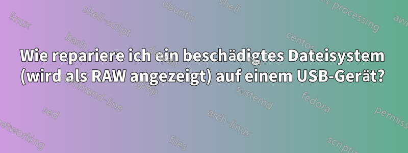 Wie repariere ich ein beschädigtes Dateisystem (wird als RAW angezeigt) auf einem USB-Gerät?