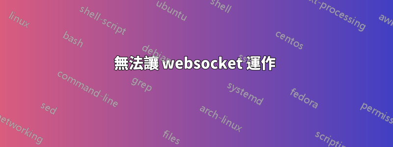 無法讓 websocket 運作