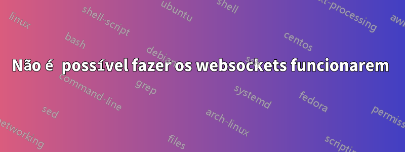 Não é possível fazer os websockets funcionarem