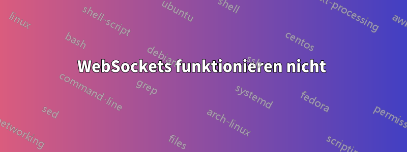 WebSockets funktionieren nicht