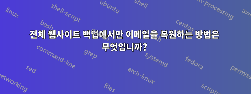 전체 웹사이트 백업에서만 이메일을 복원하는 방법은 무엇입니까?