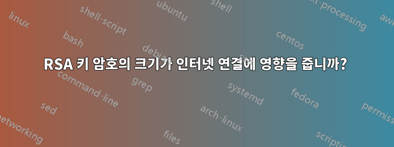 RSA 키 암호의 크기가 인터넷 연결에 영향을 줍니까?