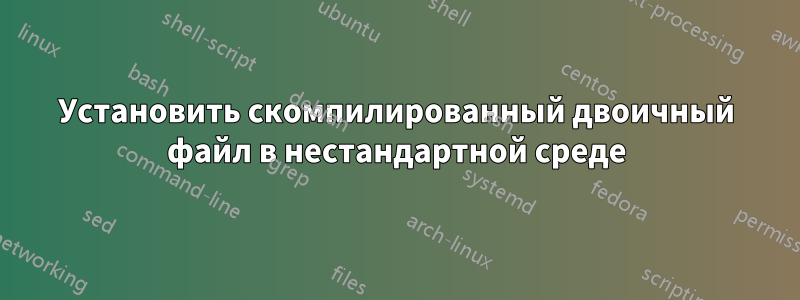 Установить скомпилированный двоичный файл в нестандартной среде