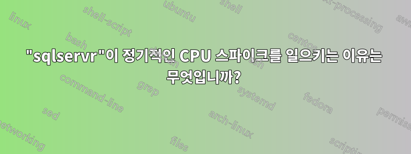 "sqlservr"이 정기적인 CPU 스파이크를 일으키는 이유는 무엇입니까?